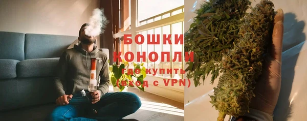 индика Белоозёрский