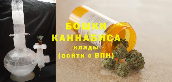 индика Белоозёрский