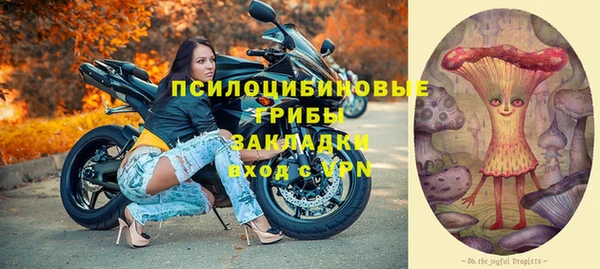индика Белоозёрский