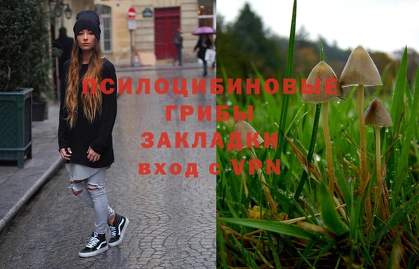 индика Белоозёрский