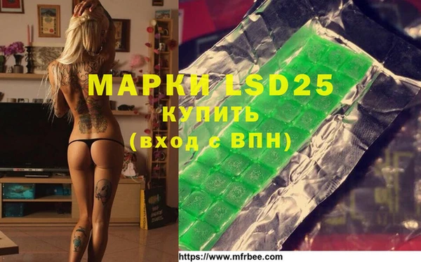 индика Белоозёрский