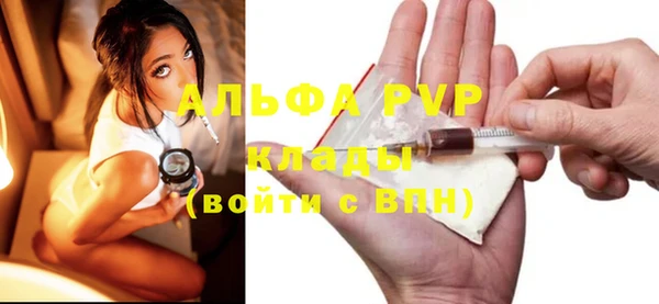 индика Белоозёрский