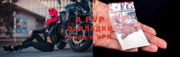индика Белоозёрский